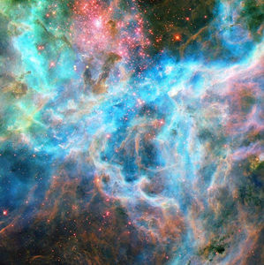 Meet your Posher, Dylan